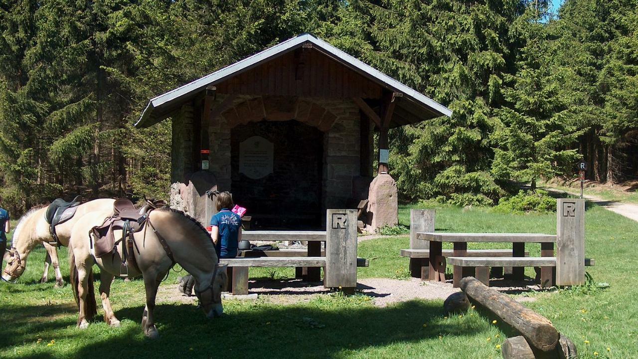 Ferienwohnung Trollmann Schmalkalden Exteriér fotografie